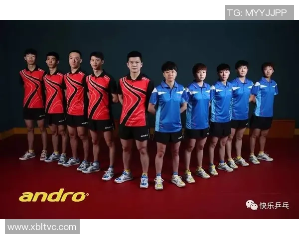 赛后分析：西安乒乓球队与杭州乒乓球队的默契配合与战术探讨